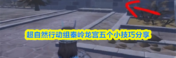 超自然行动组秦岭龙宫五个小技巧分享