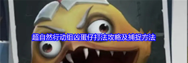 超自然行动组凶蛋仔打法攻略及捕捉方法