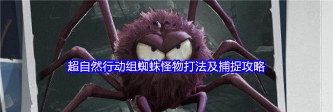 超自然行动组蜘蛛怪物打法及捕捉攻略