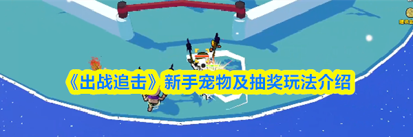 《出战追击》新手宠物及抽奖玩法介绍