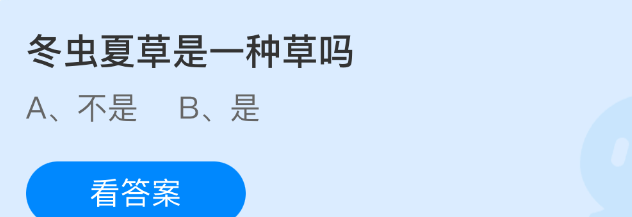 冬虫夏草是一种草吗