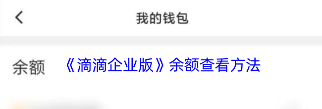 《滴滴企业版》余额查看方法