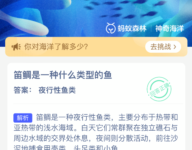 笛鲷是一种什么类型的鱼