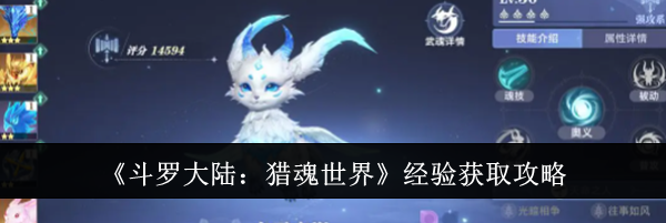 《斗罗大陆：猎魂世界》经验获取攻略