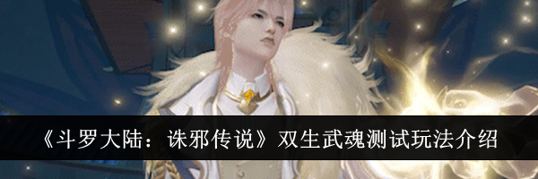 《斗罗大陆：诛邪传说》双生武魂测试玩法介绍