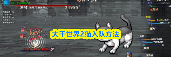 大千世界2猫入队方法