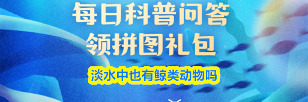 淡水中也有鲸类动物吗