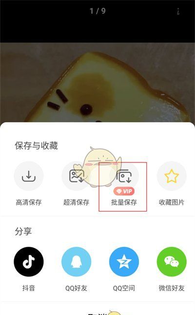 《堆糖》批量保存图片方法