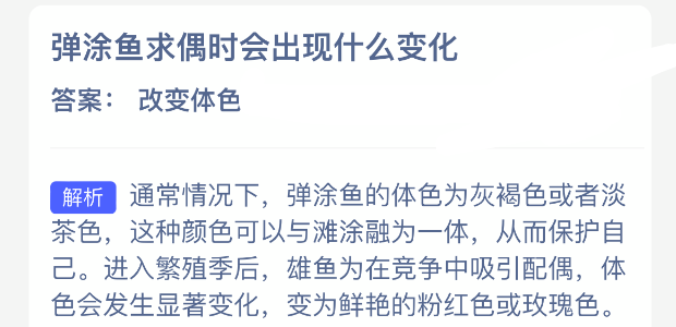 弹涂鱼求偶时会出现什么变化