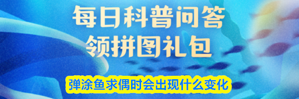 弹涂鱼求偶时会出现什么变化