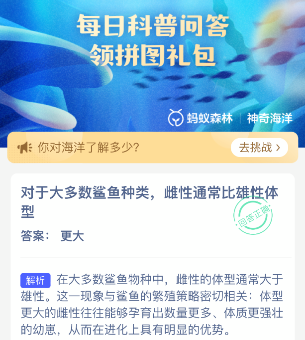 对于大多数鲨鱼种类雌性通常比雄性体型