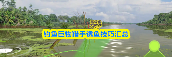 钓鱼巨物猎手诱鱼技巧汇总