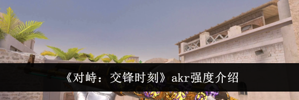 《对峙：交锋时刻》akr强度介绍