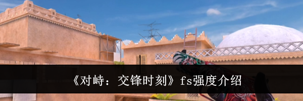 《对峙：交锋时刻》fs强度介绍
