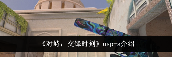 《对峙：交锋时刻》usp-s介绍