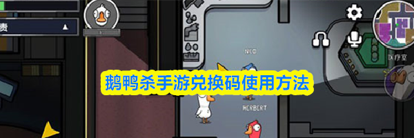 鹅鸭杀手游兑换码使用方法
