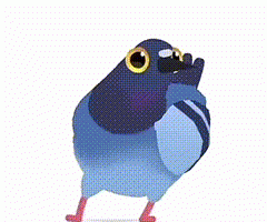 疯狂的鸽子表情包大全