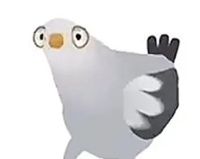 疯狂的鸽子表情包大全