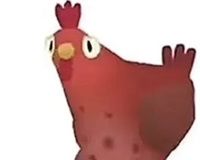 疯狂的鸽子表情包大全