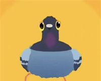 疯狂的鸽子表情包大全