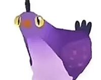 疯狂的鸽子表情包大全