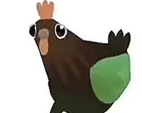 疯狂的鸽子表情包大全