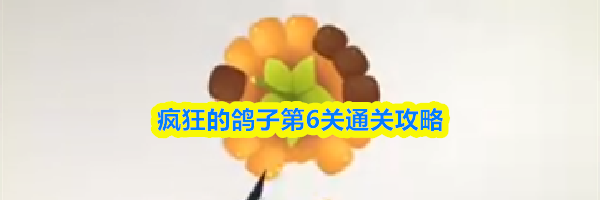 疯狂的鸽子第6关通关攻略