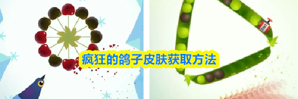 疯狂的鸽子皮肤获取方法