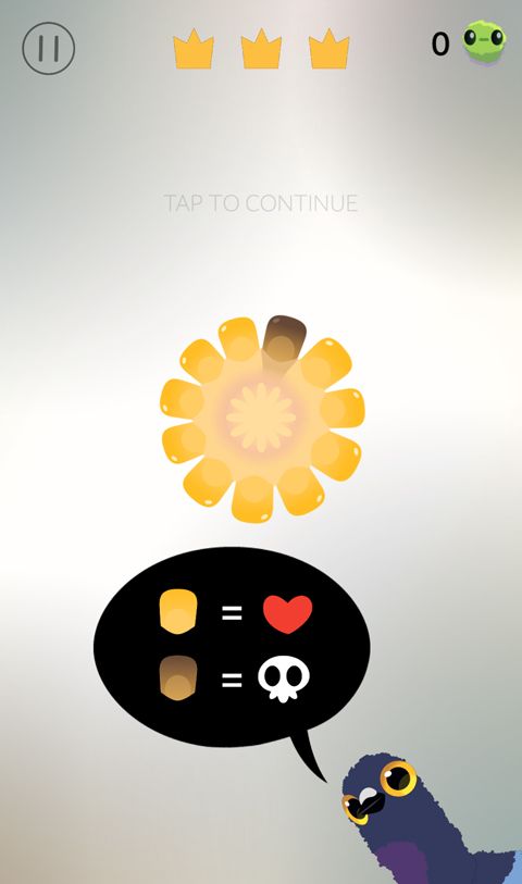 疯狂的鸽子游戏入口2026