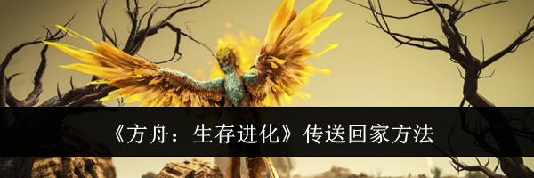 《方舟：生存进化》传送回家方法