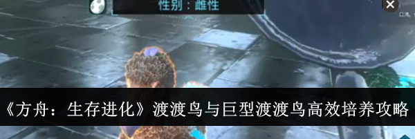 《方舟：生存进化》渡渡鸟与巨型渡渡鸟高效培养攻略