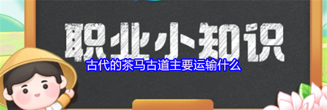 古代的茶马古道主要运输什么