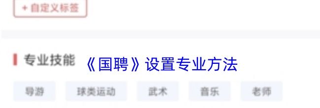 《国聘》设置专业方法