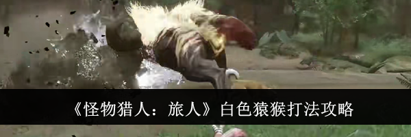 《怪物猎人：旅人》白色猿猴打法攻略