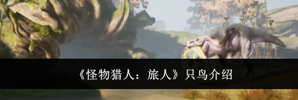 《怪物猎人：旅人》只鸟介绍