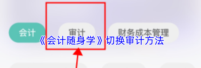 《会计随身学》切换审计方法