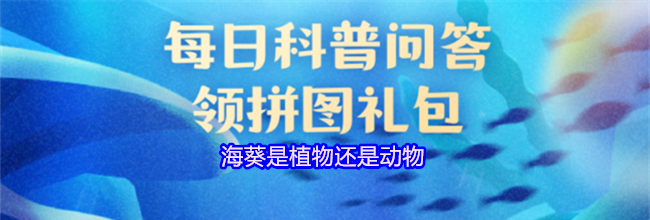 海葵是植物还是动物