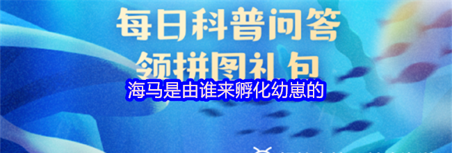海马是由谁来孵化幼崽的