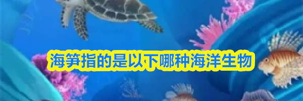 海笋指的是以下哪种海洋生物