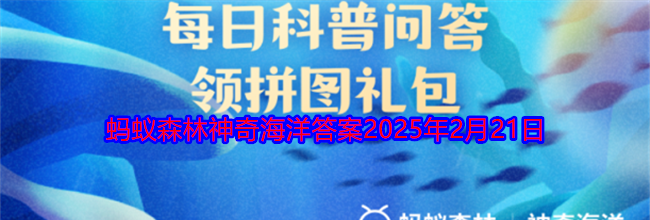 海豚的声呐系统位于哪里