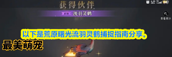 荒原曙光流羽灵鹤捕捉指南