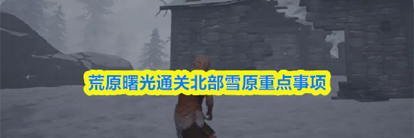荒原曙光通关北部雪原重点事项