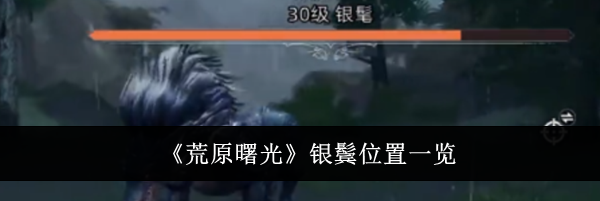 《荒原曙光》银鬓位置一览