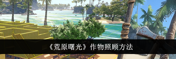 《荒原曙光》作物照顾方法