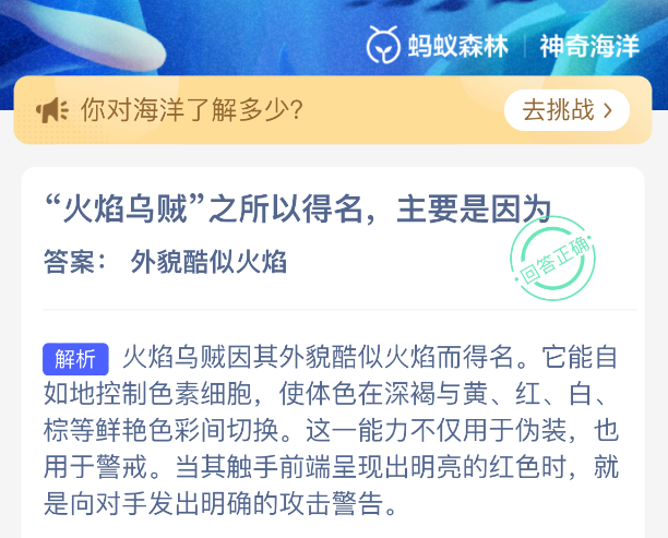 火焰乌贼之所以得名主要是因为