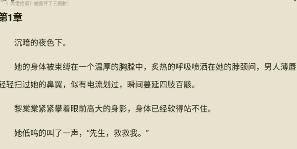 红烛小说app阅读参数设置方法