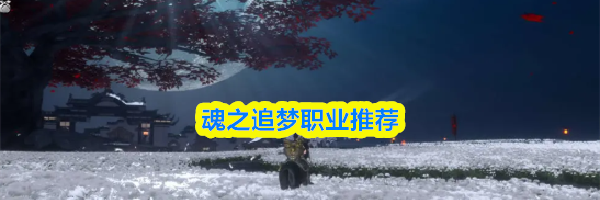 魂之追梦职业推荐