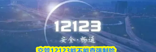 交管12123能不能查强制险