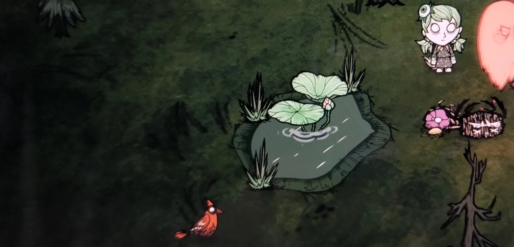 《饥荒》芭蕉树和莲花株特性介绍