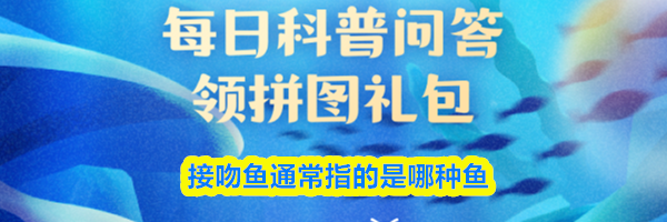 接吻鱼通常指的是哪种鱼